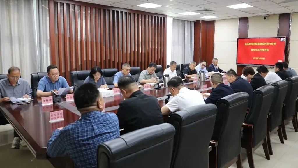 錨定目標再發力 攻堅克難促落實——宏河集團召開經營運行分析暨專班工作推進會議
